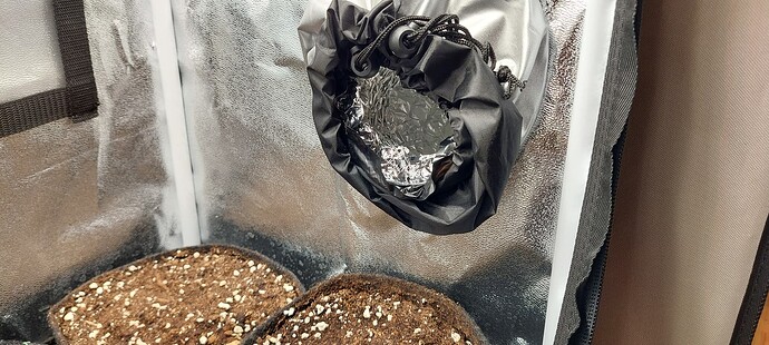 Growreport Bild 4