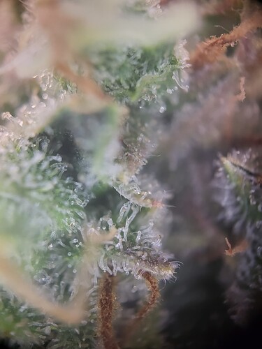 Growreport Bild 9