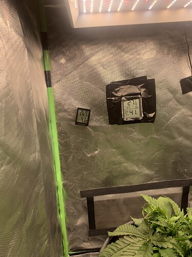 Growreport Bild 20
