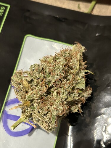 Growreport Bild 13