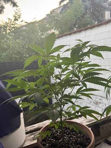 Growreport Bild 2