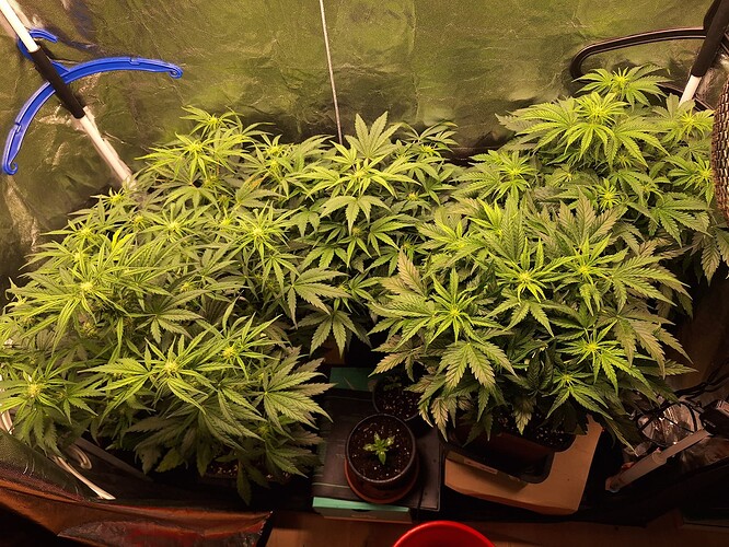 Growreport Bild 11