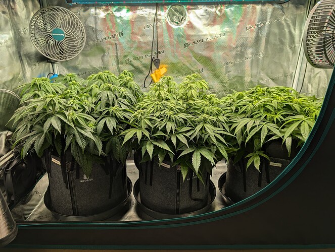 Growreport Bild 15