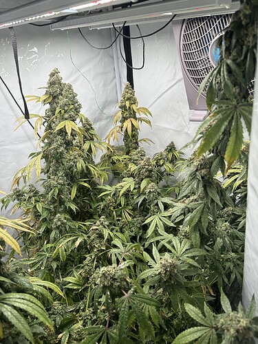 Growreport Bild 16