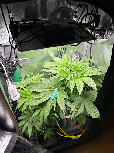 Growreport Bild 23