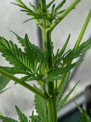 Growreport Bild 10