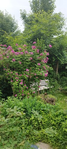 Growreport Bild 13