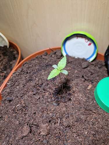 WhatsApp Image 2024-04-29 at 11.00.39