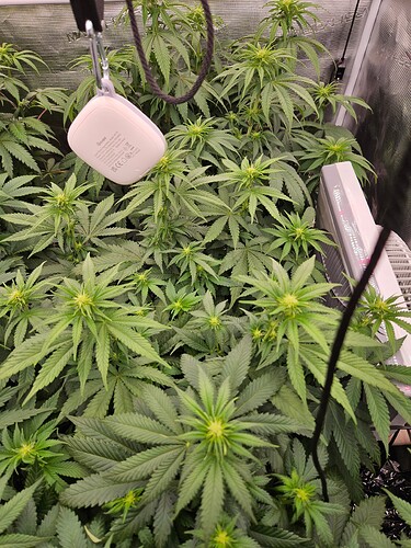 Growreport Bild 10