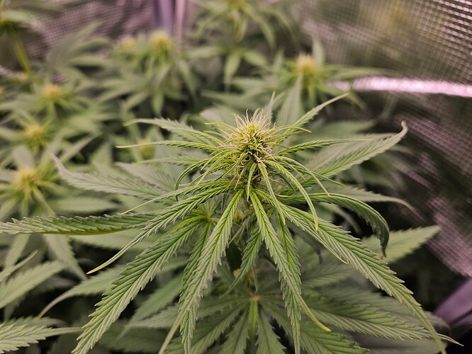 Growreport Bild 14