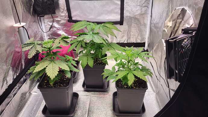 Growreport Bild 17