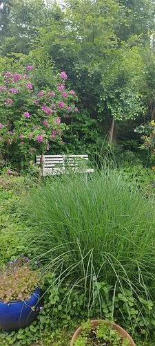 Growreport Bild 15