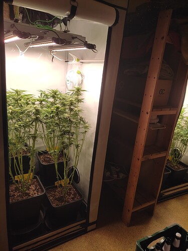 Growreport Bild 10