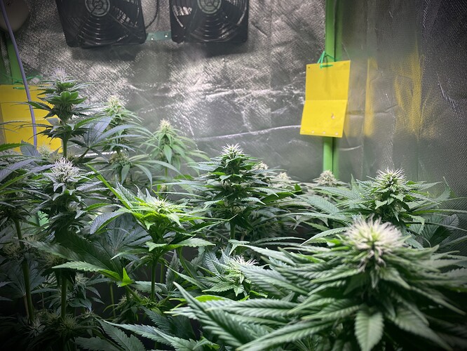 Growreport Bild 6