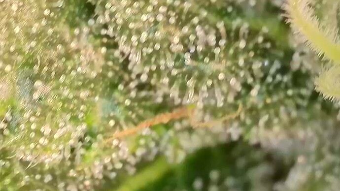 2025-10-22-075110698