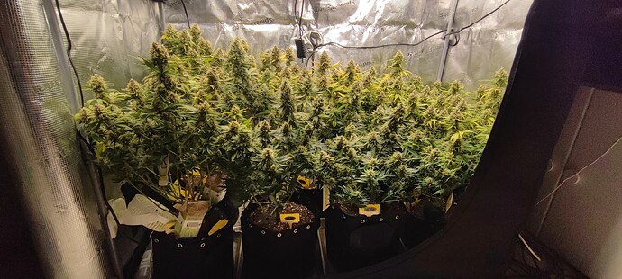 Growreport Bild 7
