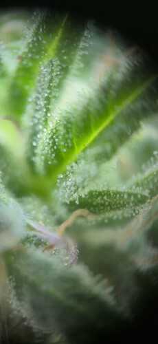 Growreport Bild 16