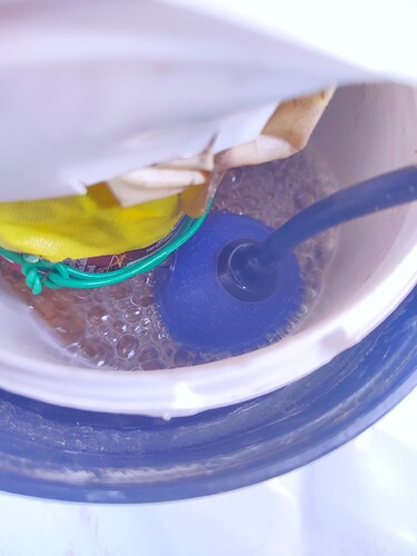 Growreport Bild 8
