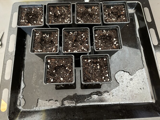 Growreport Bild 6
