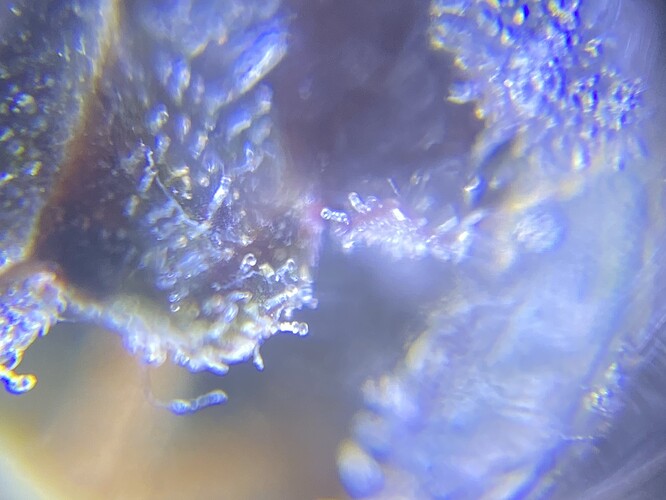 Growreport Bild 65
