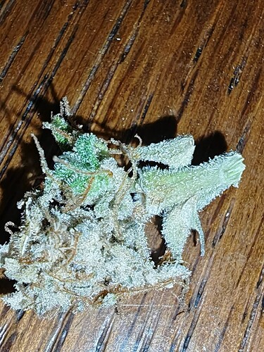 Growreport Bild 38