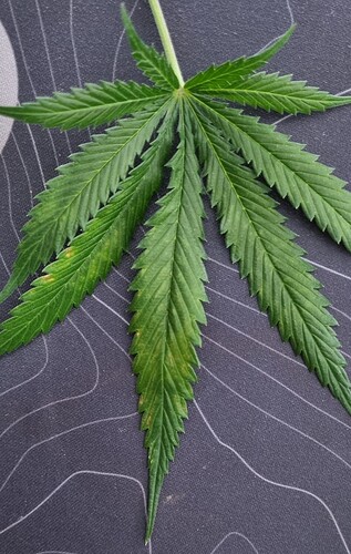 Growreport Bild 7