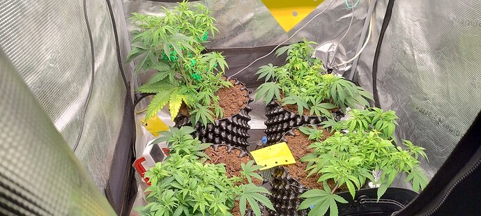 IMG_20251017_101638700_HDR