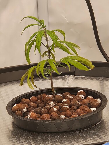 Growreport Bild 29