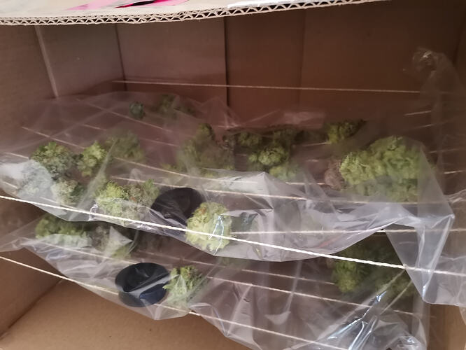 Growreport Bild 9