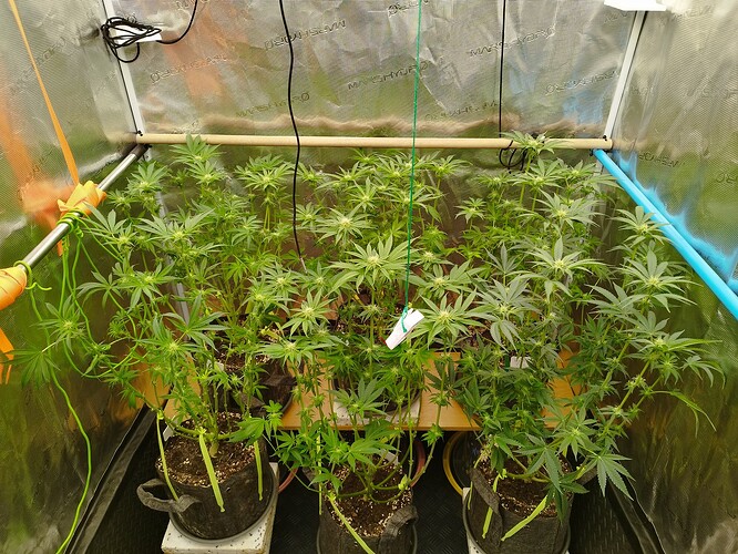 Growreport Bild 11