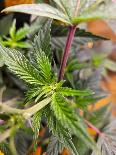 Growreport Bild 22