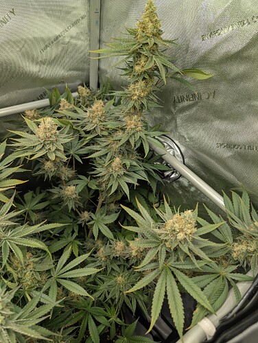 Growreport Bild 1