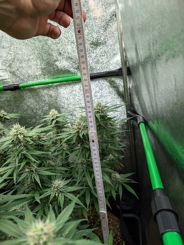 Growreport Bild 15