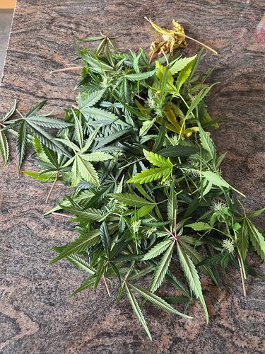 Growreport Bild 4