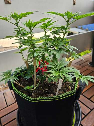 Growreport Bild 10