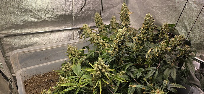 Growreport Bild 13