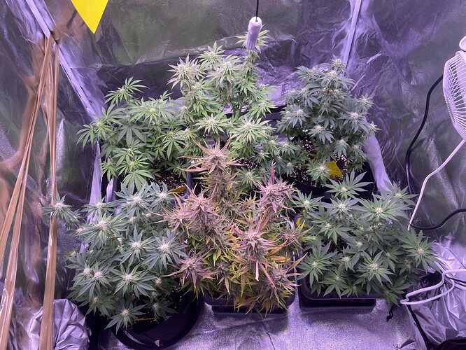 Growreport Bild 17