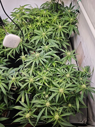 MVIMG_20251022_164756