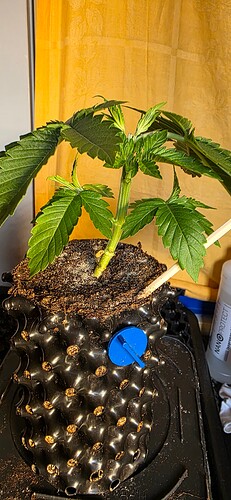Growreport Bild 21