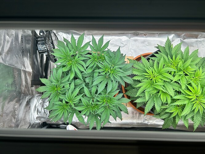 Growreport Bild 9