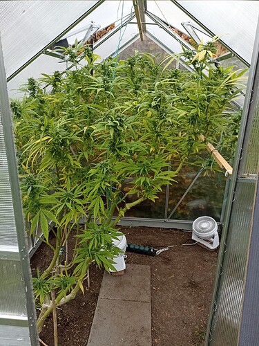 WhatsApp Bild 2024-11-04 um 16.25.16_c6b01210