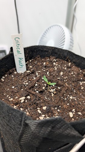 PXL_20250316_105518069.MP