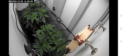 Screenshot_2024-12-30-16-54-38-10_89ed83f5c7ca8fa2c91fc75c50289338