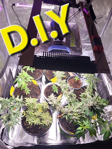 Growreport Bild 1