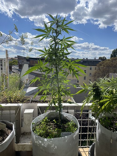 Growreport Bild 11
