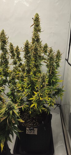 Growreport Bild 22