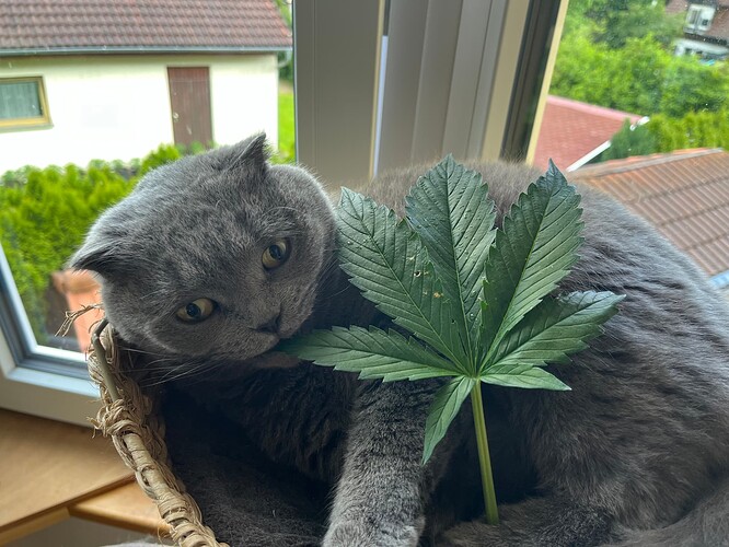 Growreport Bild 1