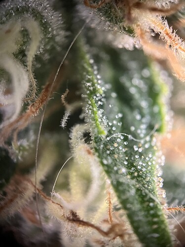 Growreport Bild 19