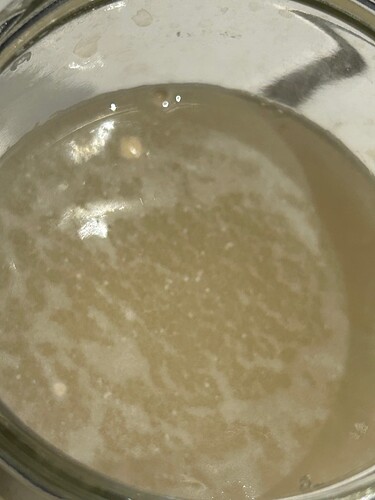 Growreport Bild 2