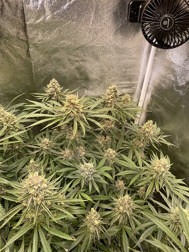 Growreport Bild 14